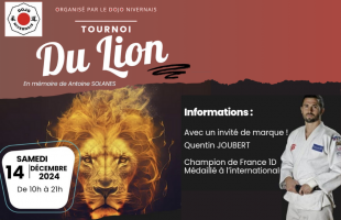 Le Tournoi du Lion : week-end sportif d'exception à Nevers !